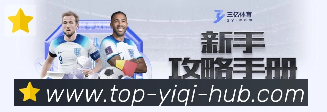 数据分析功能